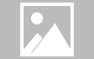 石家庄德阳专业网站建设费用（德阳企业网站建设费用）